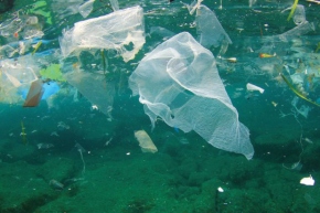Is your t-shirt killing the ocean?