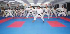 A Fighting Chance for Goan Karate
